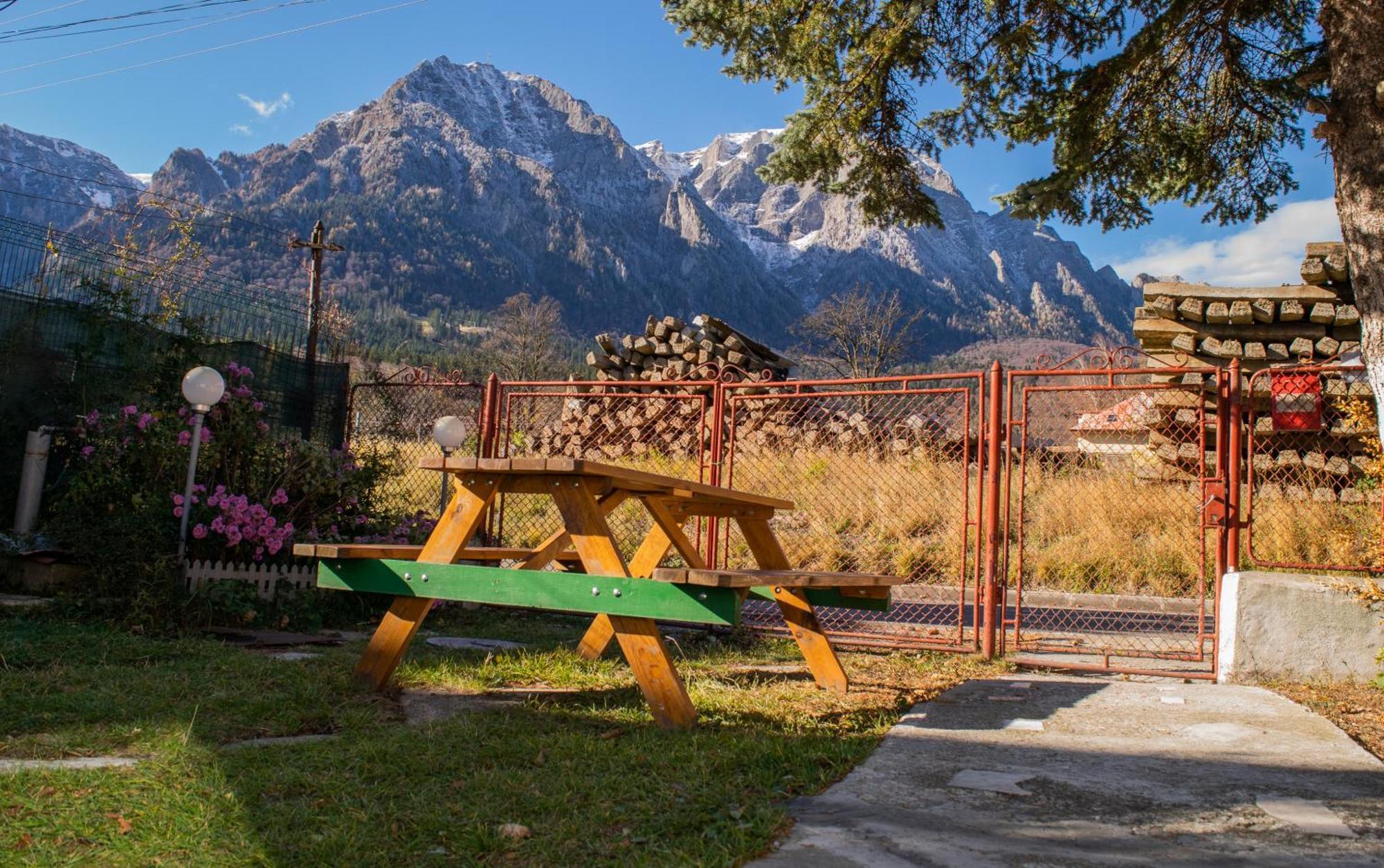 Mountain Vista, Buşteni Extérieur photo